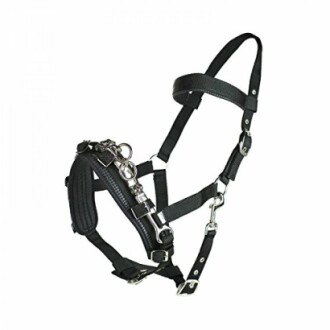 Black horse halter with metal clips and adjustable straps.