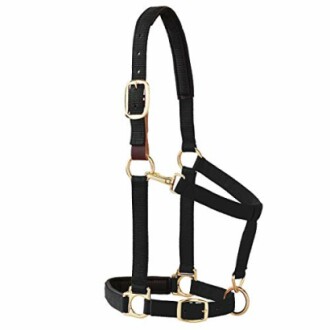 Black horse halter with gold buckles