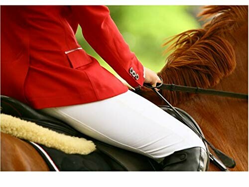 Equestrian rider in red jacket on horseback.