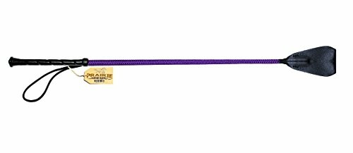 Purple equestrian riding crop with a textured handle.