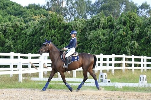 Equestrian riding a horse in an outdoor arena.