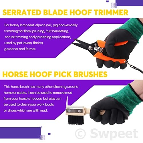 Tools for trimming and cleaning horse hooves: serrated blade hoof trimmer and horse hoof pick brush.