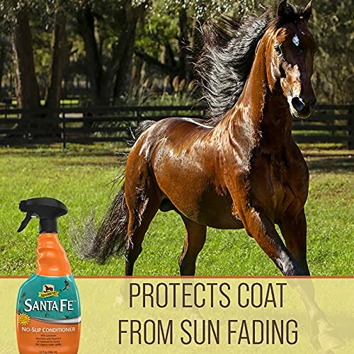 Horse running with Santa Fe conditioner bottle, protects coat from sun fading.