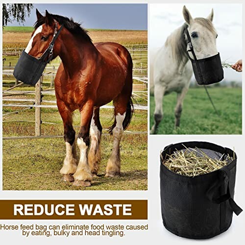 Horses wearing feed bags to reduce waste, with a close-up of a feed bag filled with hay.