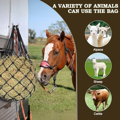 Horse eating from a hay bag with images of alpaca, sheep, and cattle.