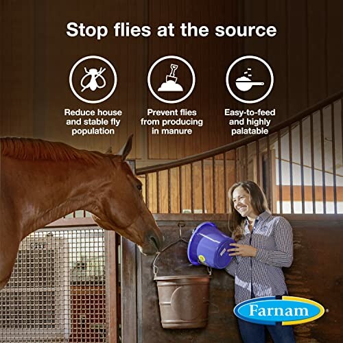 Horse eating from a bucket with fly control benefits highlighted.