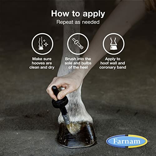 Instructions for applying hoof care product to a horse.