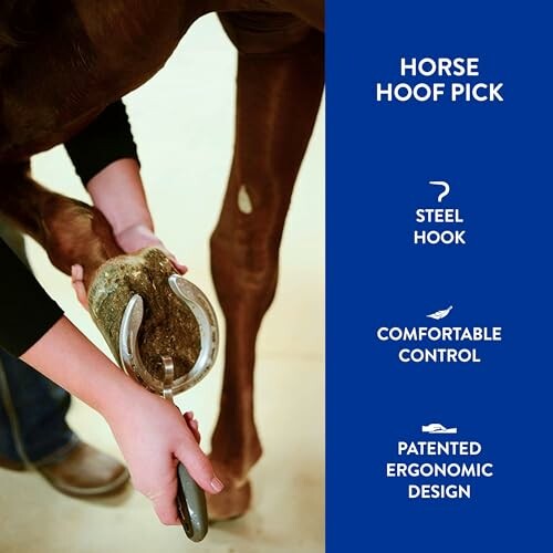 Person using a horse hoof pick tool on a horse's hoof.