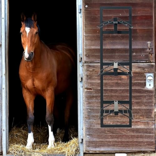 Brown horse standing in a stable doorway.