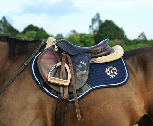 Close-up of a horse saddle and stirrups.