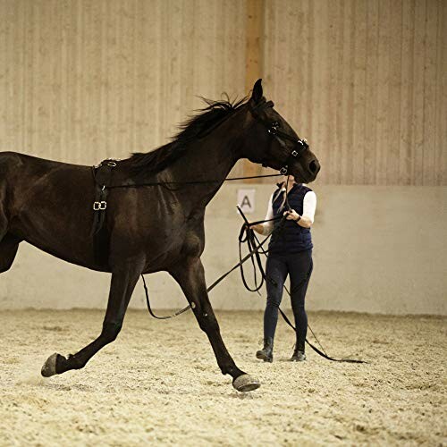 HORZE Nylon Lunging Cavesson