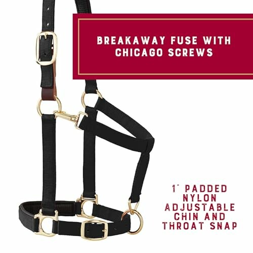 Black nylon halter with breakaway fuse and Chicago screws.