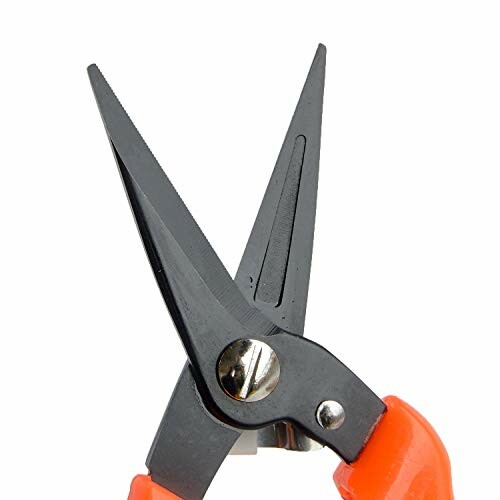 Close-up of pruning shears with orange handles.