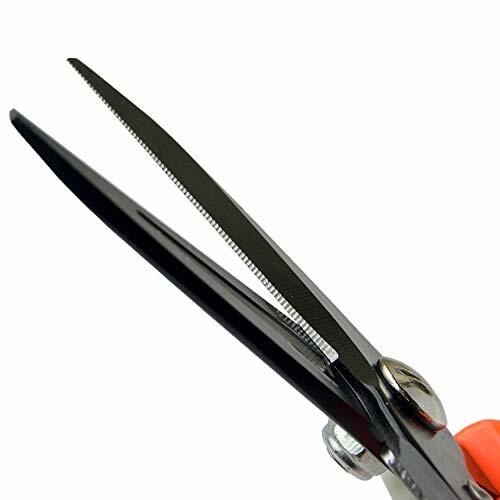 Close-up of sharp garden shears.