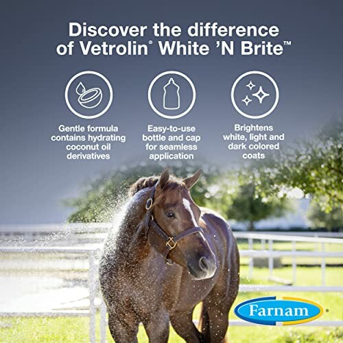 Horse being rinsed, promoting Vetrolin White ’N Brite shampoo benefits including gentle formula, easy application, and brightening effects.