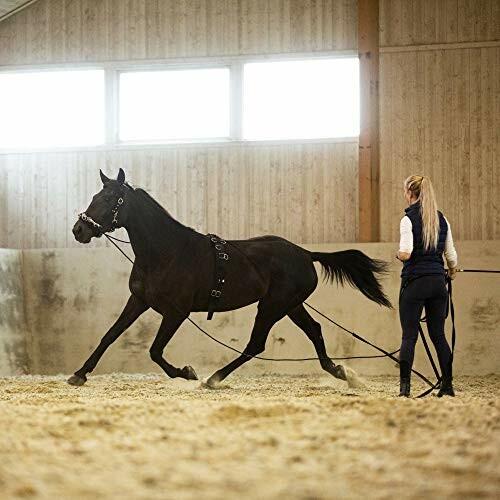 Woman training a horse in an indoor arena.